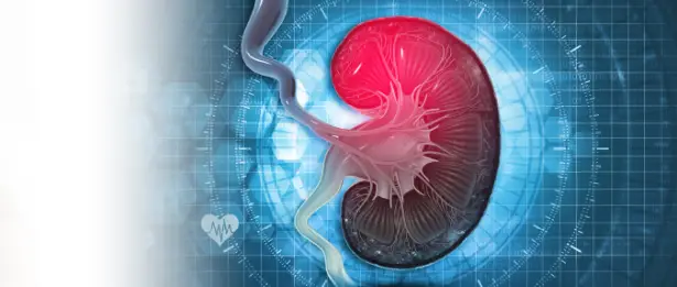 Chronic Kidney Failure